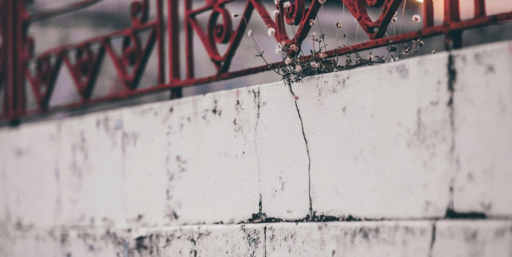 Essential Maintenance Tips to Avoid Cracks in Concrete Paths and Patios